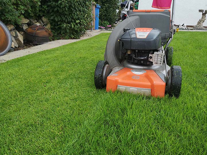 orange lawnmower cutting grass